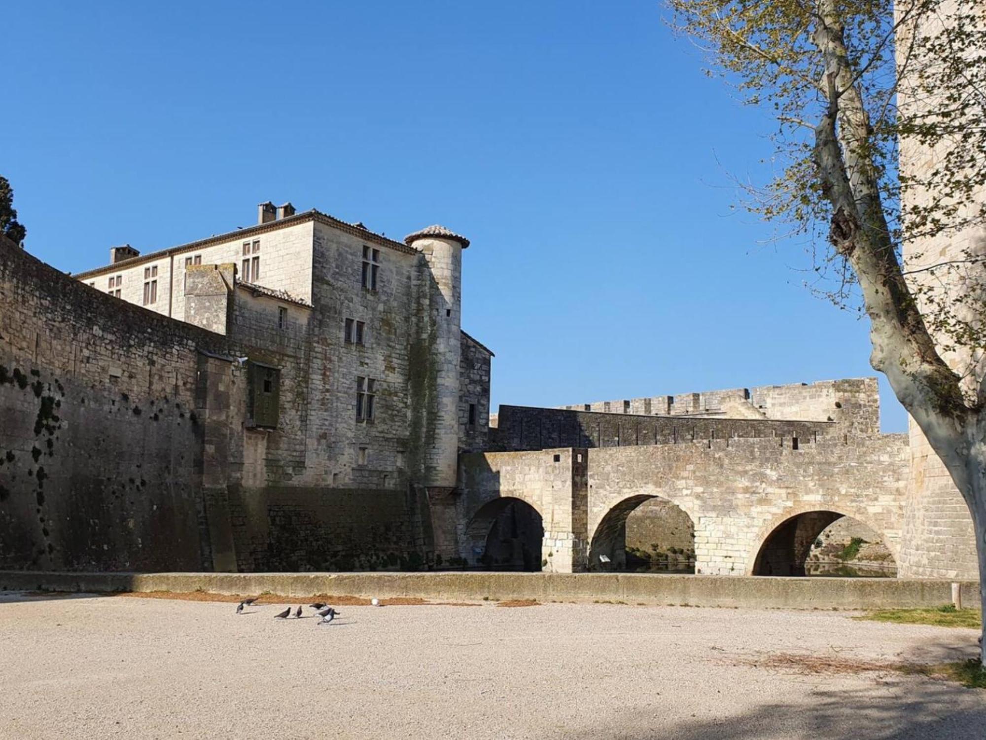 Maison Cosy, 2 Chambres, Adossee Aux Remparts Aigues-Mortes Zewnętrze zdjęcie
